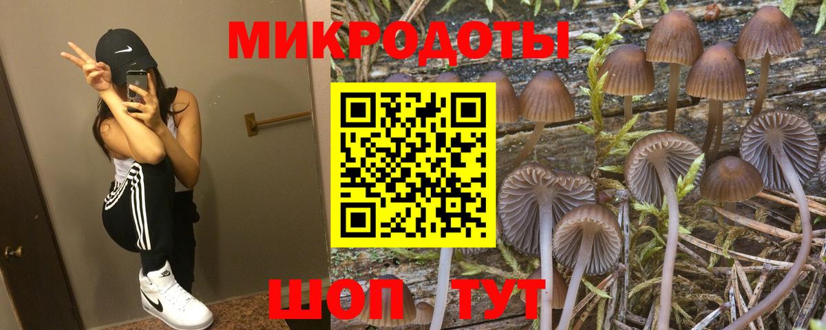 Галлюциногенные грибы прущие грибы Первоуральск