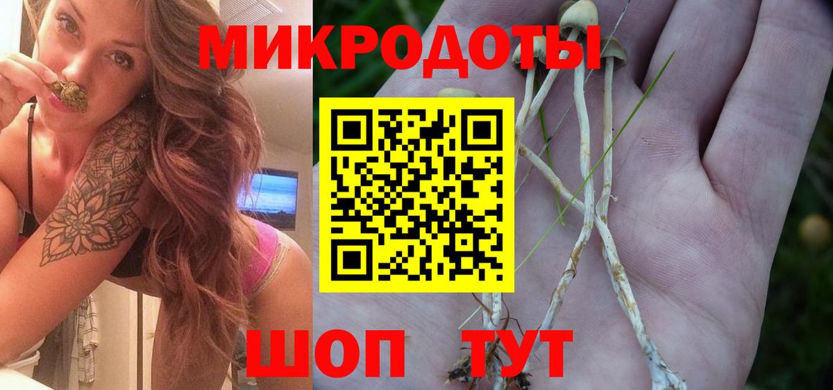 Первоуральск  Псилоцибиновые грибы мицелий  Вход с VPN 